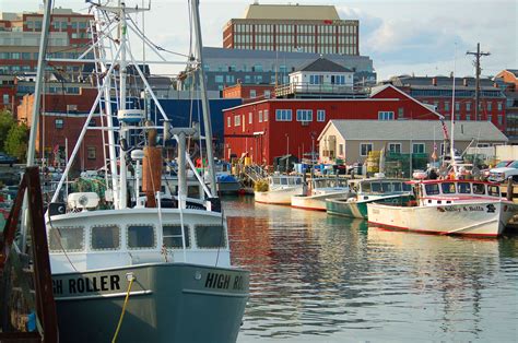 Main Fishing Forum .